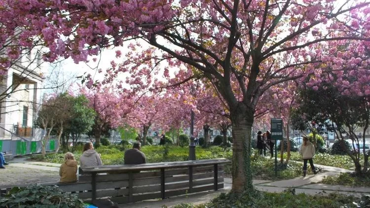 Photo of Jardin des Plantes, Rue Cuvier, Paris, France by Nishtha Nath
