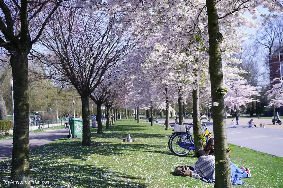 Photo of Westerpark, Amsterdam, Netherlands by Nishtha Nath