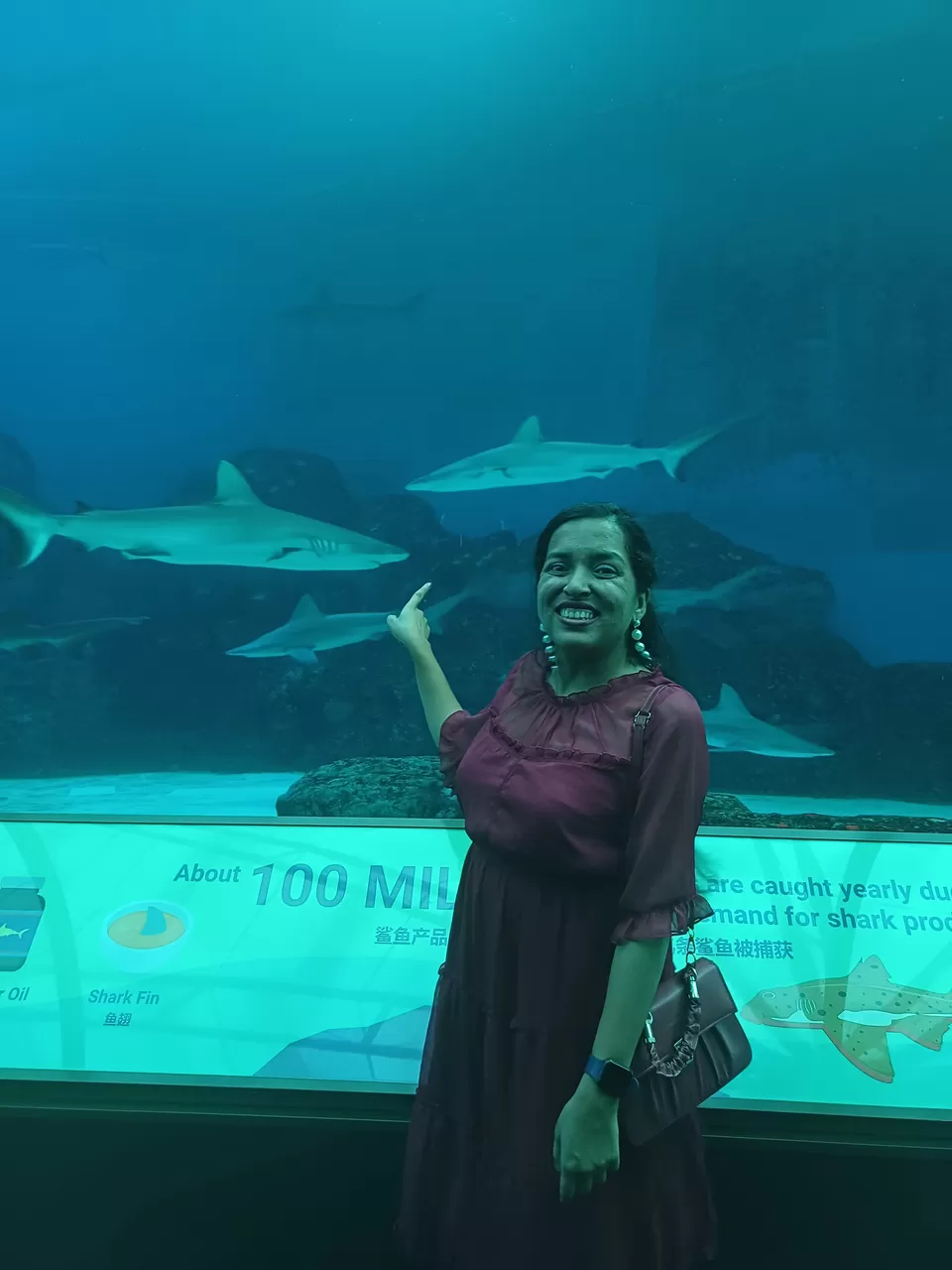 Photo of Sentosa Gateway, S.E.A. Aquarium, Sentosa Island, Singapore by Nishtha Nath