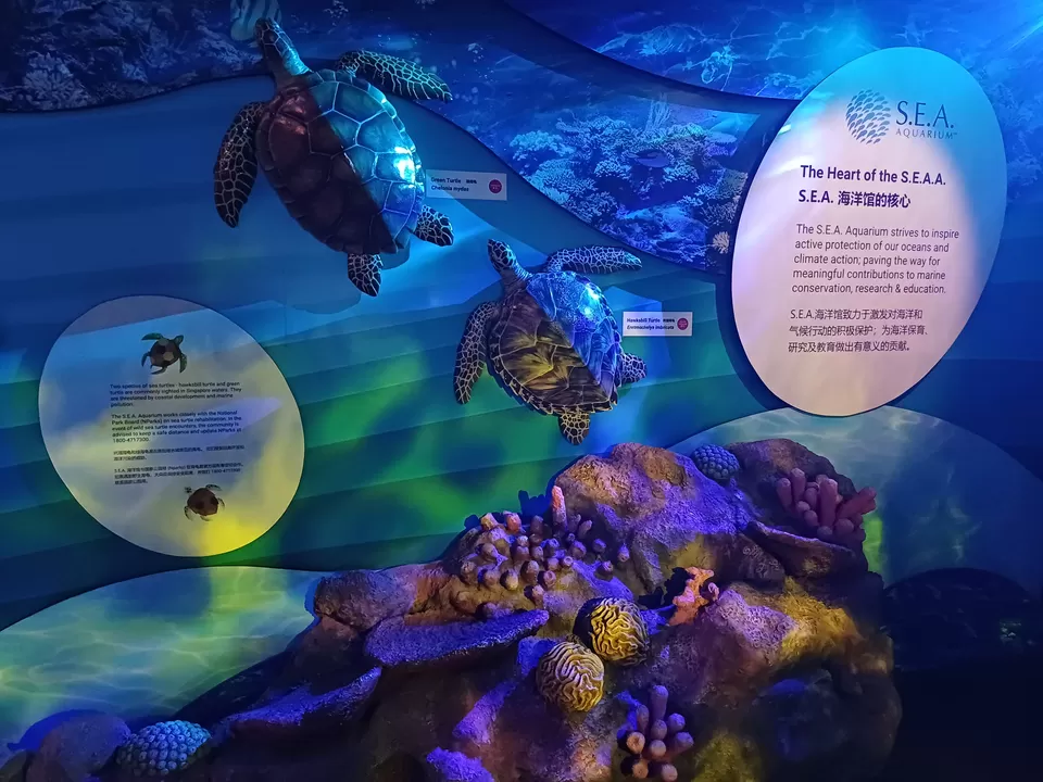Photo of Sentosa Gateway, S.E.A. Aquarium, Sentosa Island, Singapore by Nishtha Nath