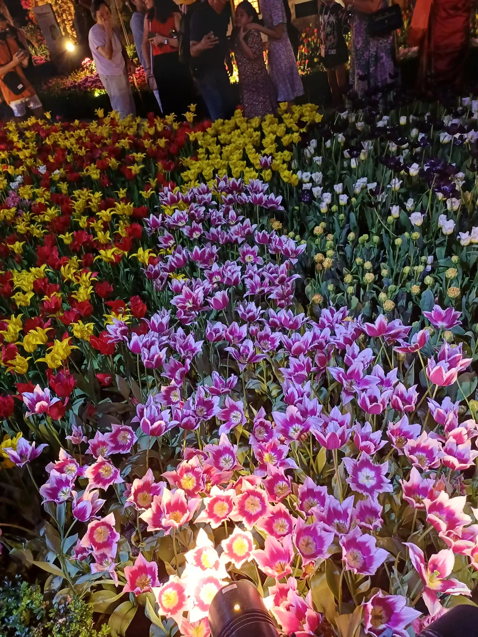 Photo of Marina Gardens Drive, Gardens by the Bay, Singapore by Nishtha Nath