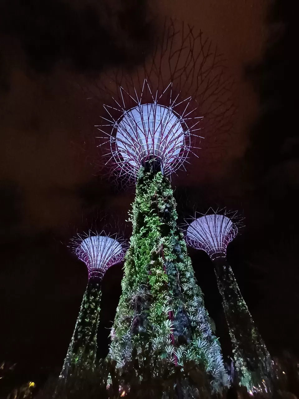 Photo of Marina Gardens Drive, Gardens by the Bay, Singapore by Nishtha Nath