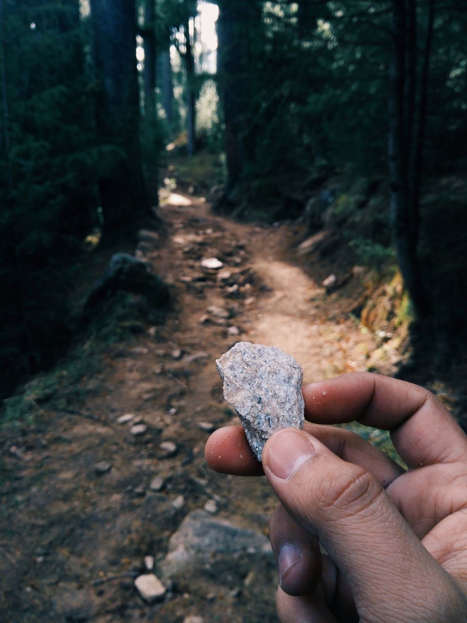 Photo of Log Huts Area Road, Old Manali, Manali, Himachal Pradesh, India by TheHimalayanGypsy