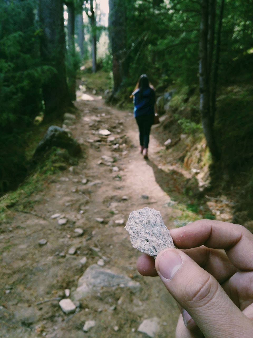 Photo of Log Huts Area Road, Old Manali, Manali, Himachal Pradesh, India by TheHimalayanGypsy