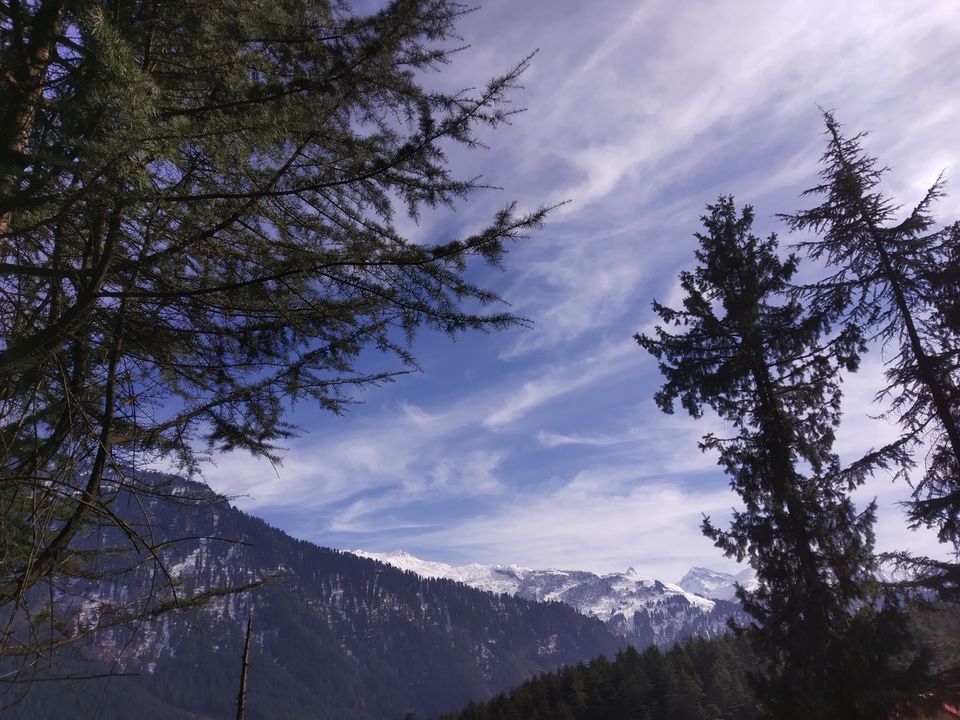Photo of Pir Panjal Range, Forest Block by TheHimalayanGypsy