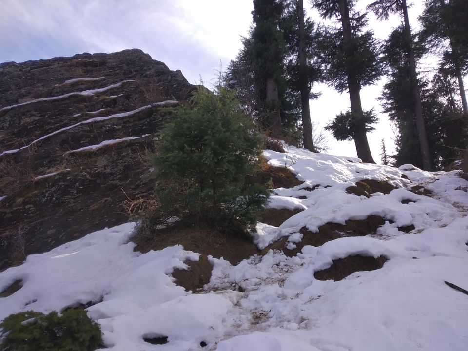 Photo of Lion King Rock, Nasogi, Himachal Pradesh, India by TheHimalayanGypsy
