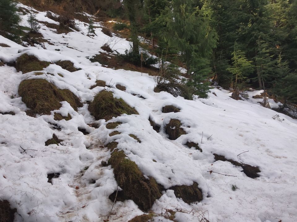 Photo of All you need to know about Manali Lamadugh Snow Trek by TheHimalayanGypsy