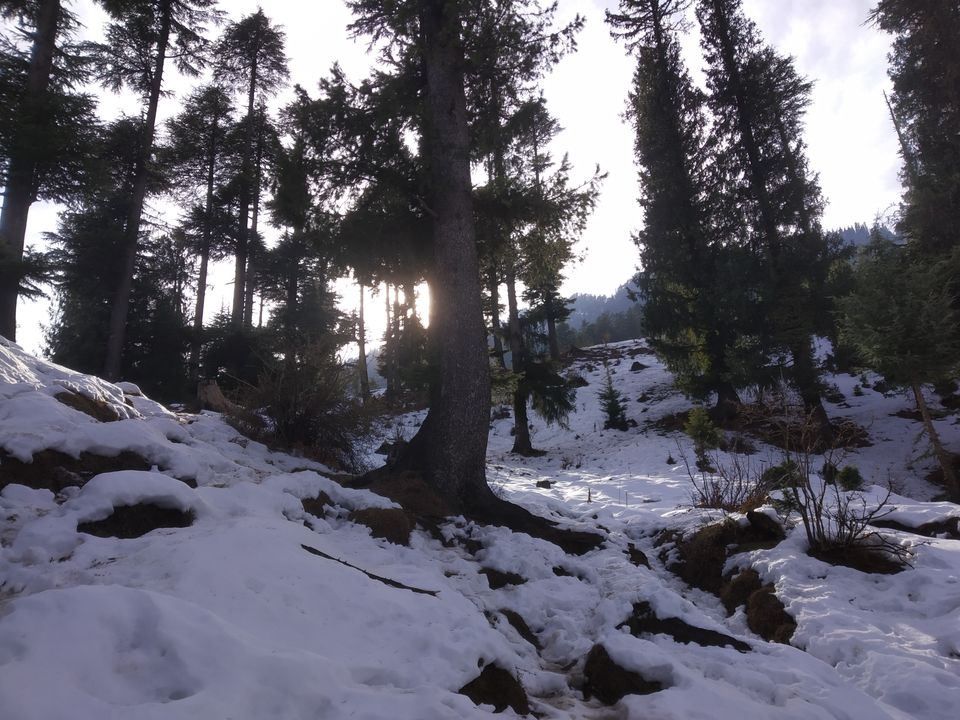 Photo of All you need to know about Manali Lamadugh Snow Trek by TheHimalayanGypsy