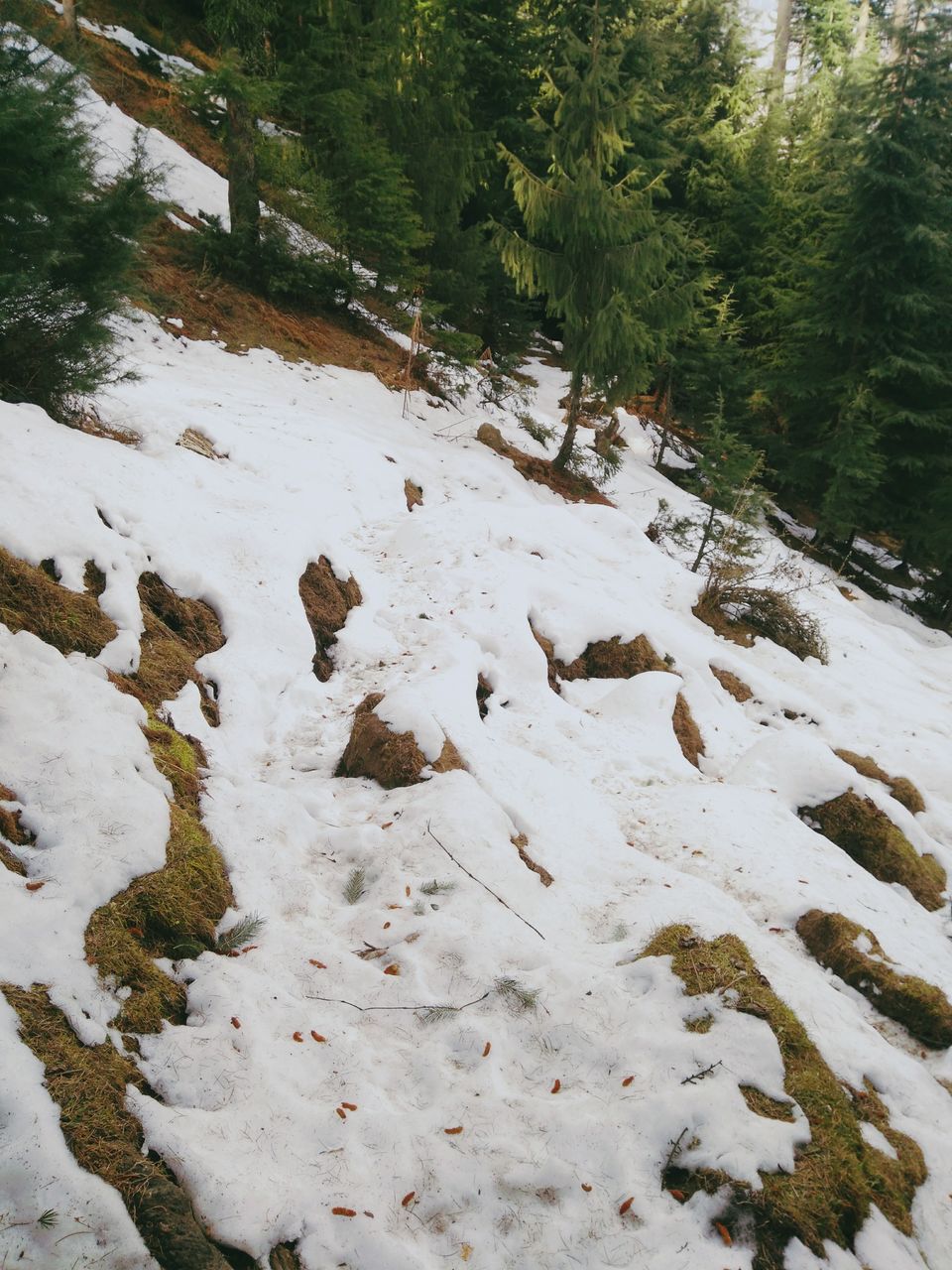 Photo of All you need to know about Manali Lamadugh Snow Trek by TheHimalayanGypsy
