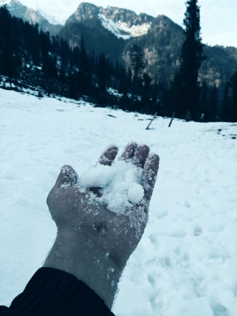 Photo of All you need to know about Manali Lamadugh Snow Trek by TheHimalayanGypsy