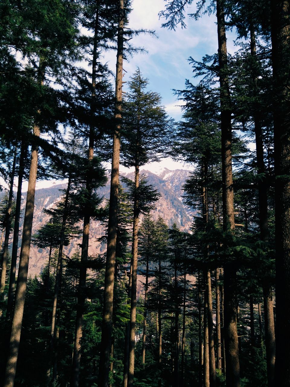 Photo of Kullu, Himachal Pradesh, India by TheHimalayanGypsy