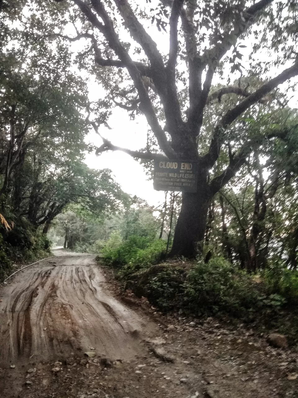 Photo of Cloud End Forest Resort, Mussorie, Uttarakhand, India by TheHimalayanGypsy