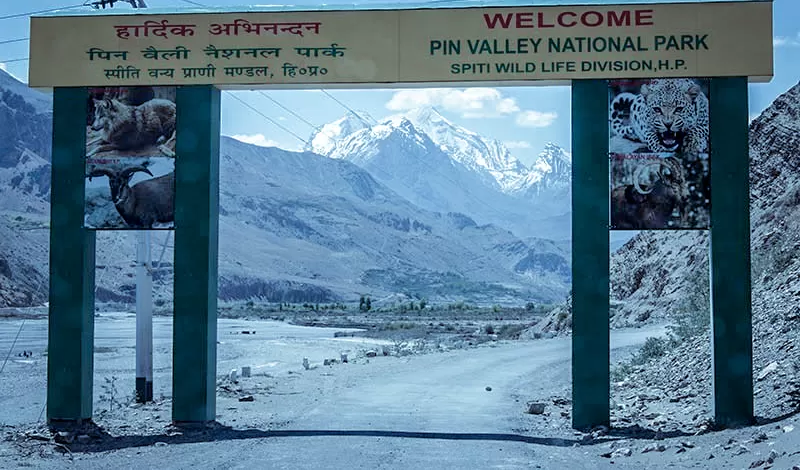 Photo of Pin Valley National Park, Himachal Pradesh, India by TheHimalayanGypsy