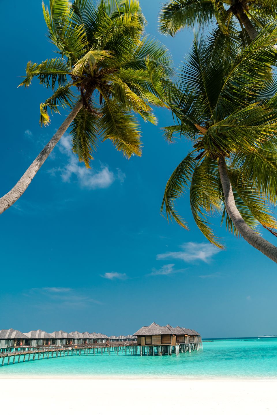 Photo of Addu Atoll, Addu City, Maldives by TheHimalayanGypsy