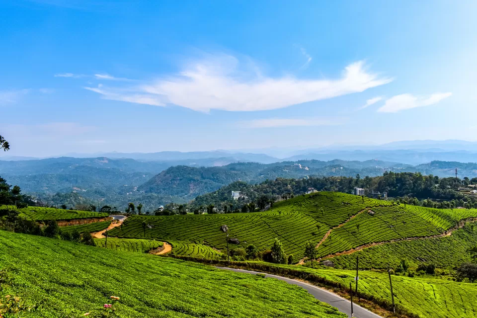 Photo of Munnar, Kerala, India by TheHimalayanGypsy