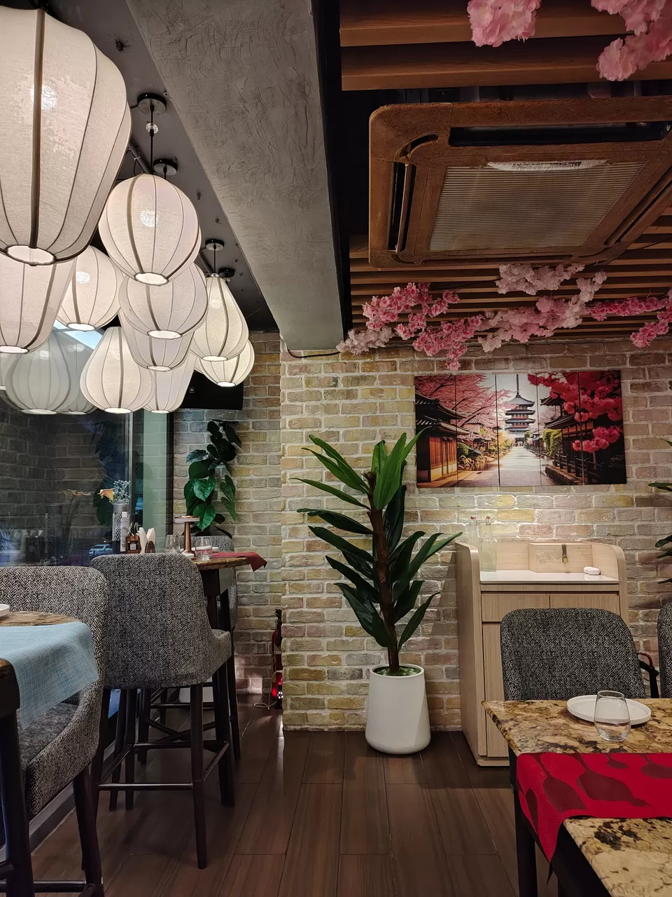 Photo of Sapodilla by sangeeta goon