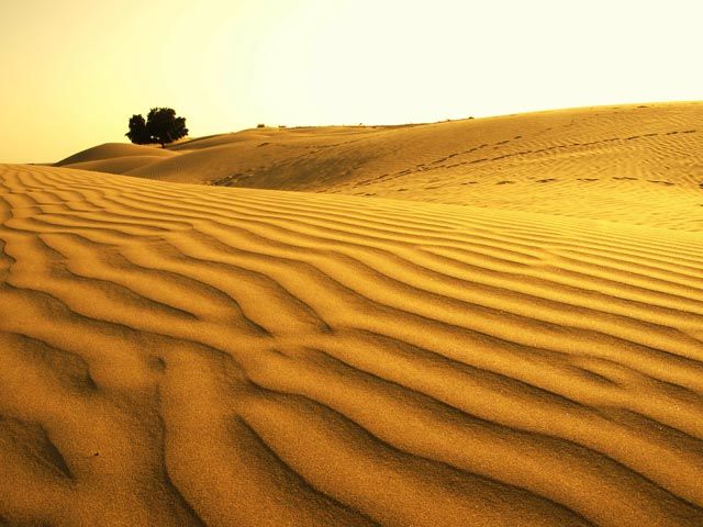 Photo of Khuri Dunes, Rajasthan by chetan