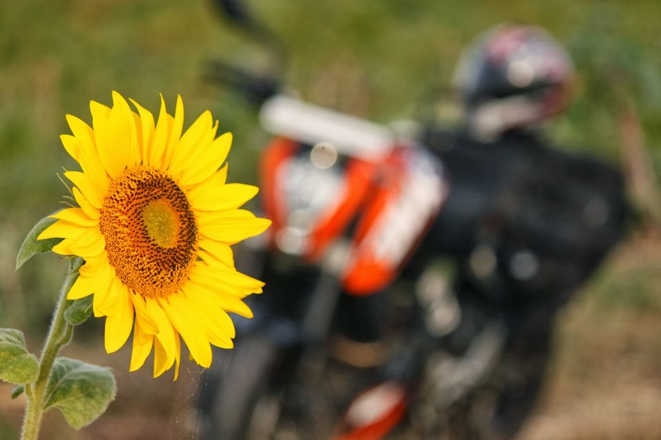Photo of Honnavara: A Coastal Photography Ride 6/26 by chetan