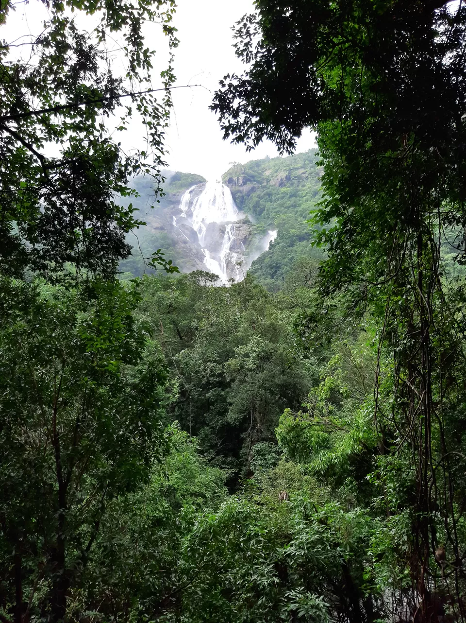 Photo of Trip to Milky Dudhsagar. by Trivikram Sarath