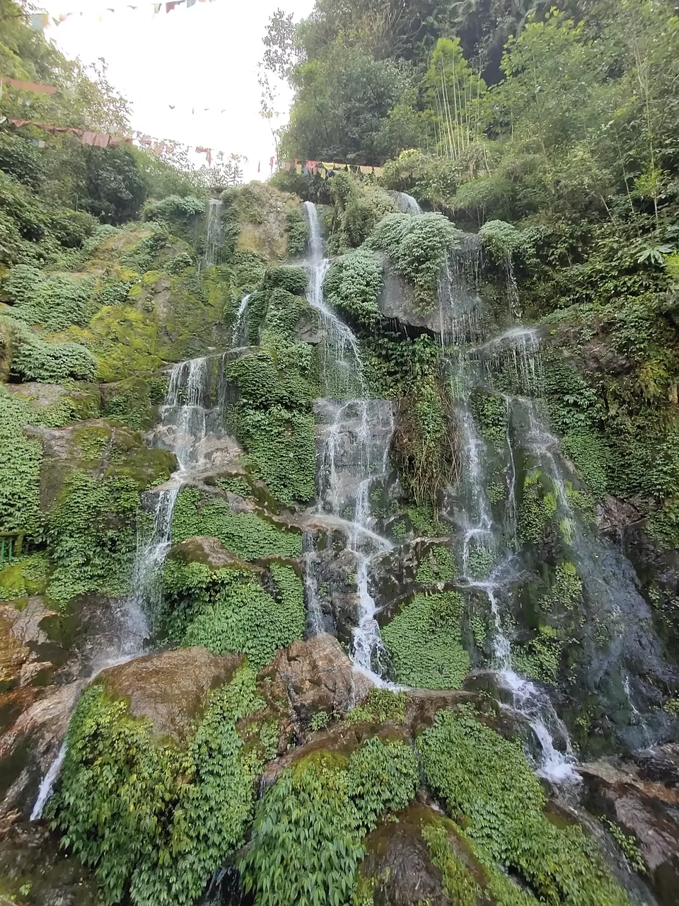 Photo of Namgyal Institute of Tibetology, M.P.Golai, Tadong, Gangtok, Sikkim, India by Trivikram Sarath