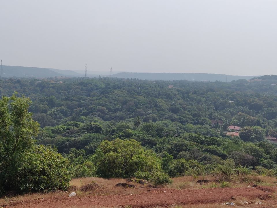 Photo of When Life Hunts You, All You Need is GOA by Abhinaw