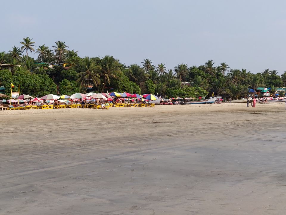Photo of When Life Hunts You, All You Need is GOA by Abhinaw
