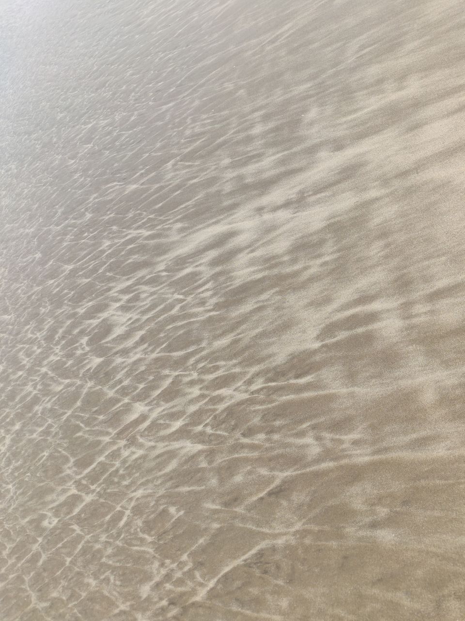 Photo of When Life Hunts You, All You Need is GOA by Abhinaw