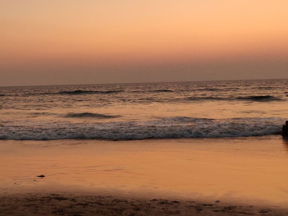 Photo of When Life Hunts You, All You Need is GOA by Abhinaw