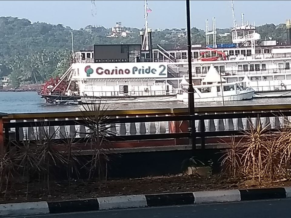 Photo of When Life Hunts You, All You Need is GOA by Abhinaw