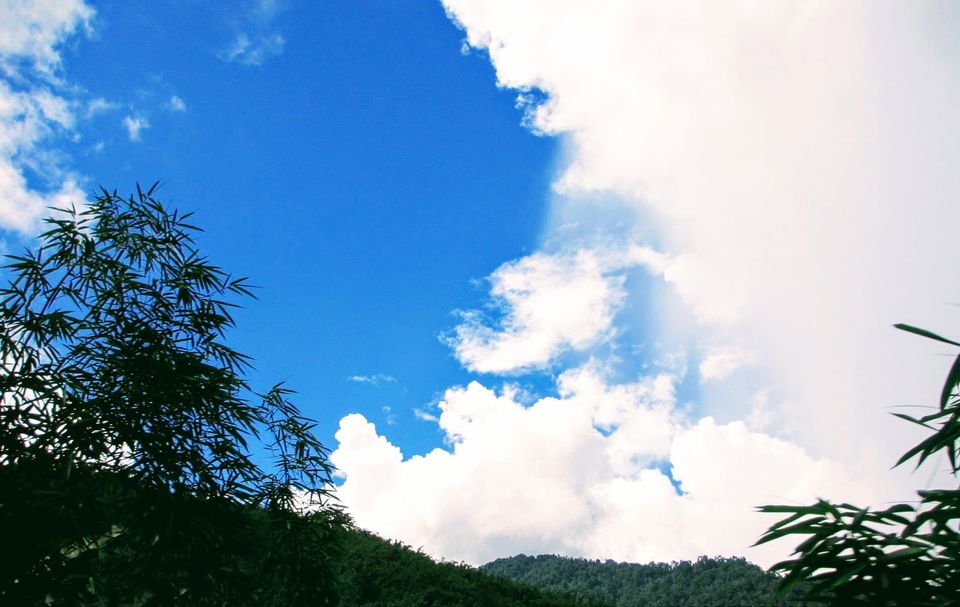 Photo of On the road to Arunachal Pradesh 4/8 by Ipshita Chakraborty