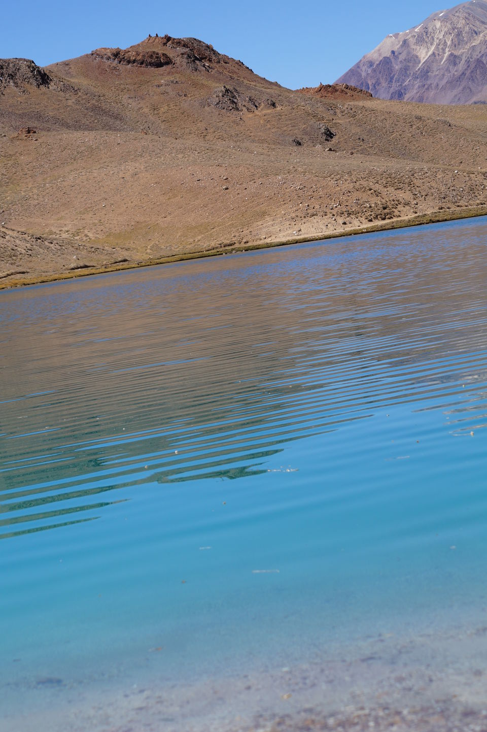 Photo of Chandratal - To the moon lake and back! 7/10 by Lost!