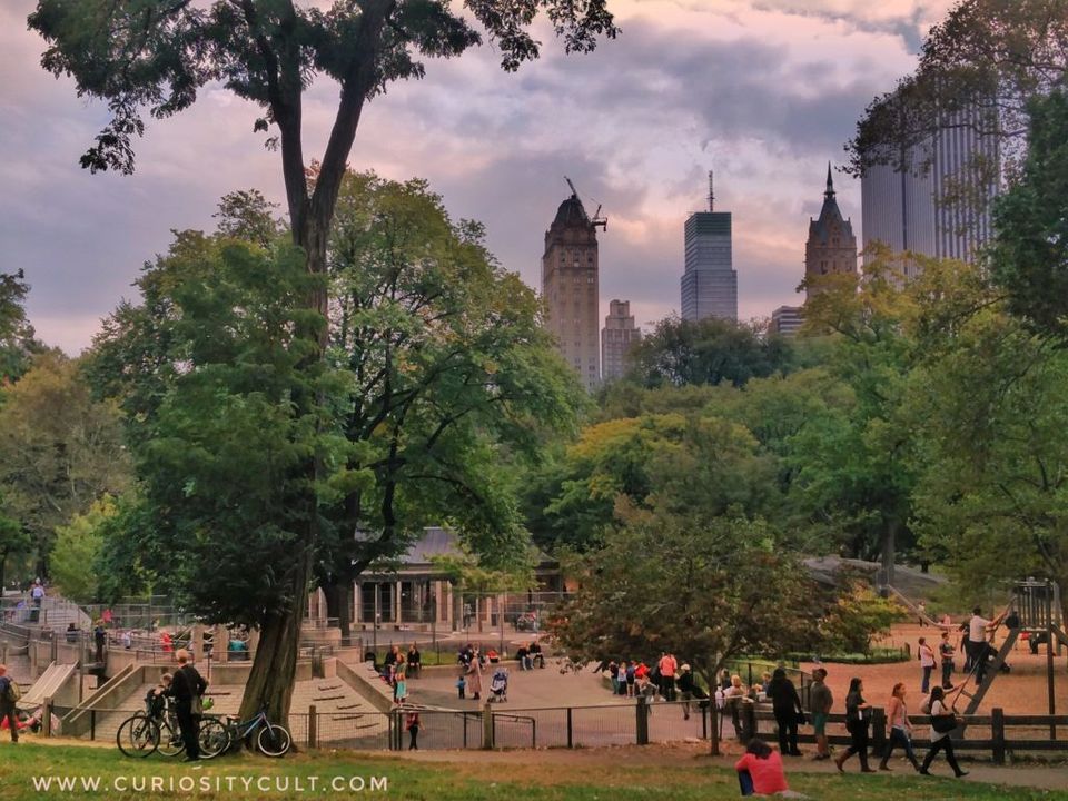 Photo of Central Park, New York, NY, USA by Curiosity Cult