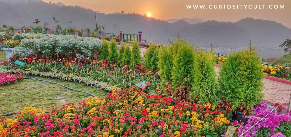 Photo of Valley of Flowers (ફ્લાવર વેલી), Gujarat, India by Curiosity Cult