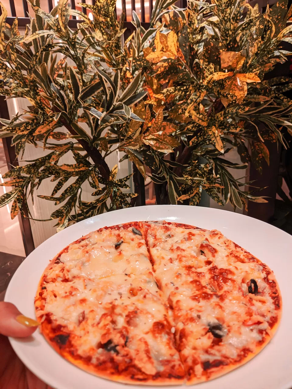 Photo of Royal Hometel Suites, Western Express Highway, next to Thakur Mall, Ketkipada, Mira Road, Mumbai, Maharashtra, India by Curiosity Cult 