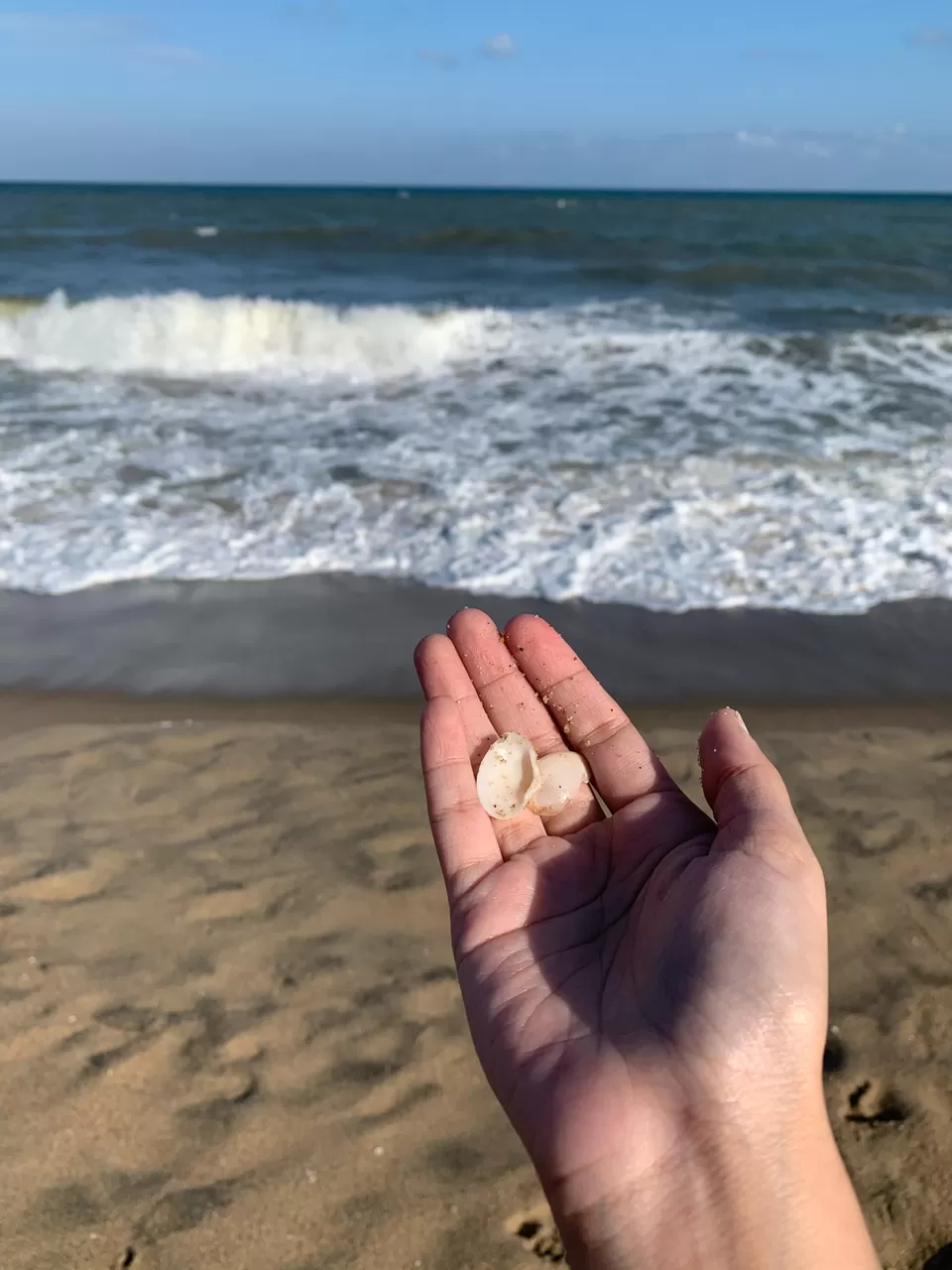 Photo of Pondi-Cherie! From Pondicherry, With Love by Chic Philosofi