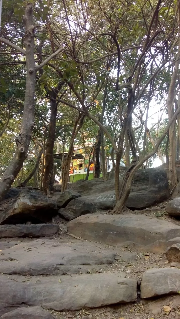 Photo of Shikhar Chandi Temple, Chandaka Industrial Estate, Patharagadia, Bhubaneswar, Odisha, India by PG