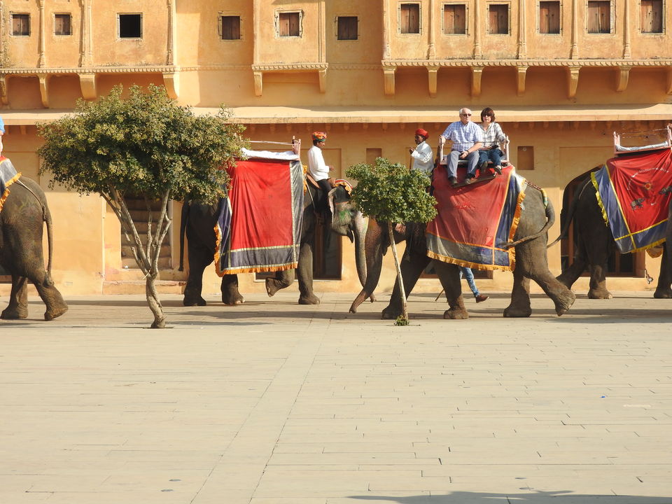 Photo of Amber Fort, Devisinghpura, Amer, Jaipur, Rajasthan, India by PG