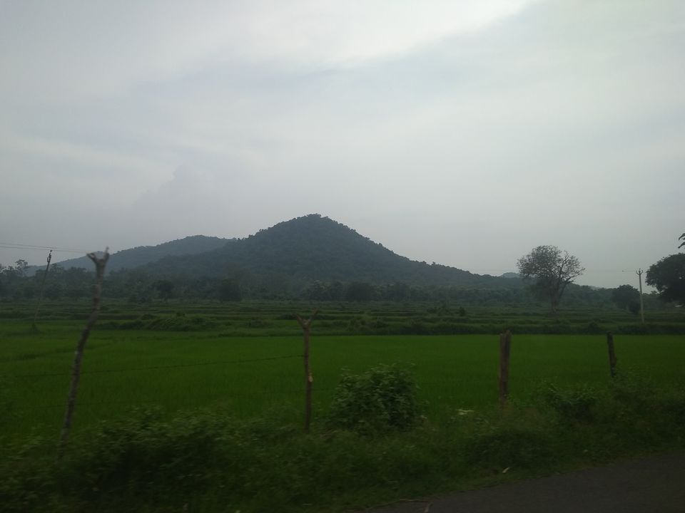 Photo of The most unique temple in India #HiddenGem by PG