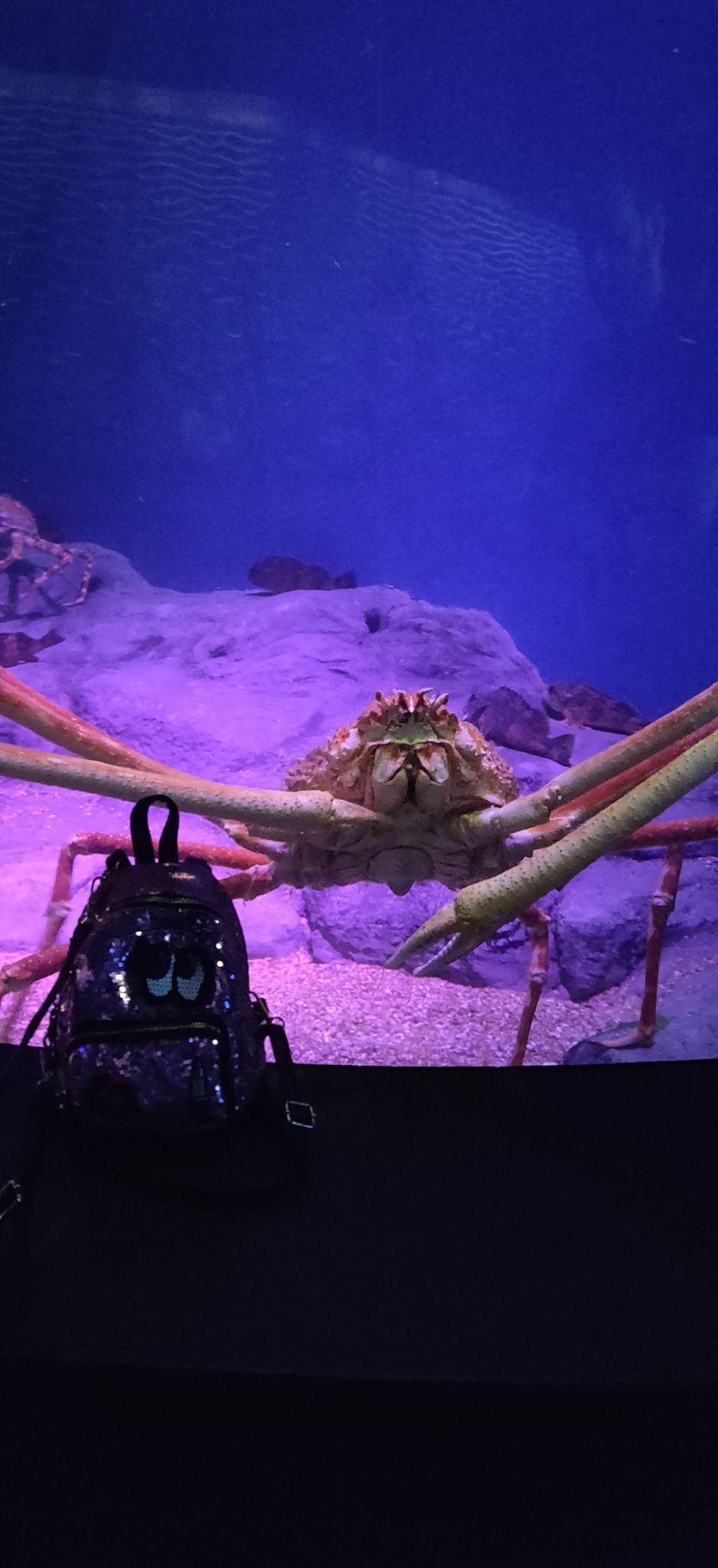 Photo of Sentosa Gateway, S.E.A. Aquarium, Sentosa Island, Singapore by Kritika Tyagi