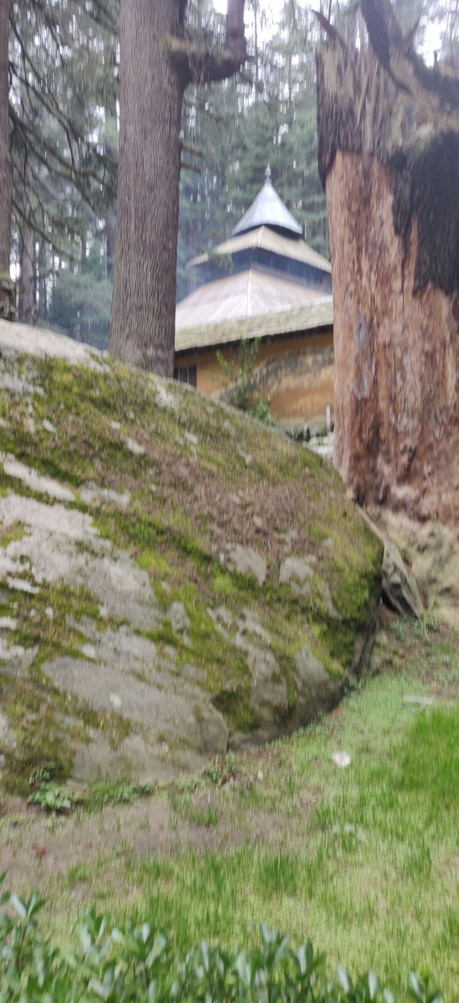 Photo of Hadimba Devi Temple, Hadimba Temple Road, Old Manali, Manali, Himachal Pradesh, India by Kritika Tyagi