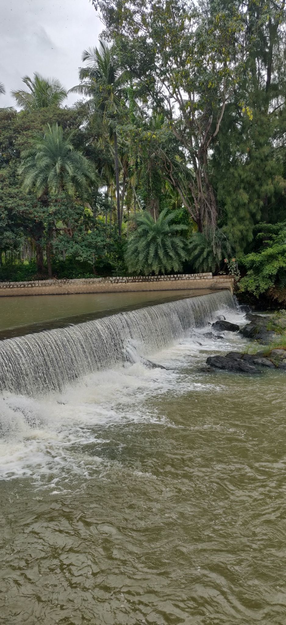 Photo of Brindavan Gardens, Mandya, Karnataka, India by Kritika Tyagi