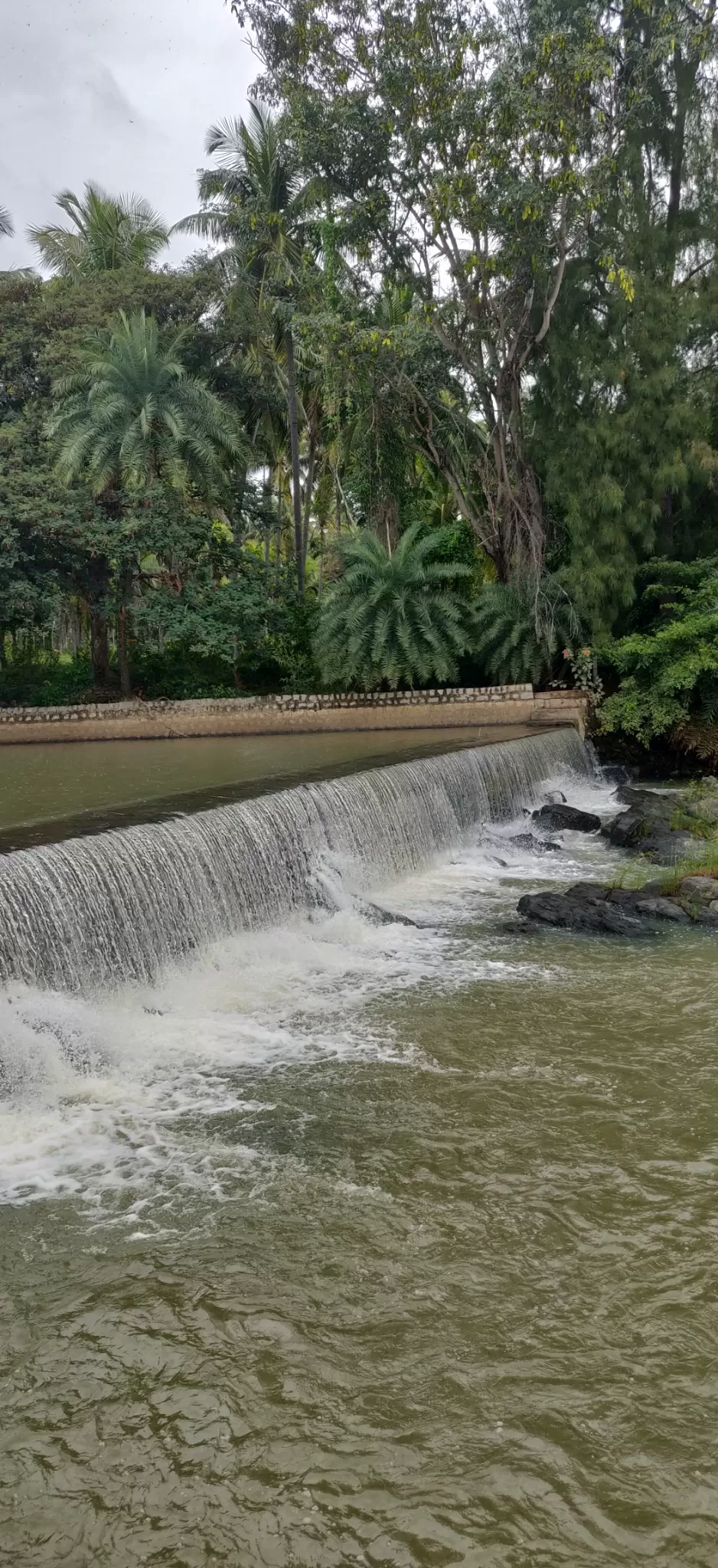 Photo of Brindavan Gardens, Mandya, Karnataka, India by Kritika Tyagi