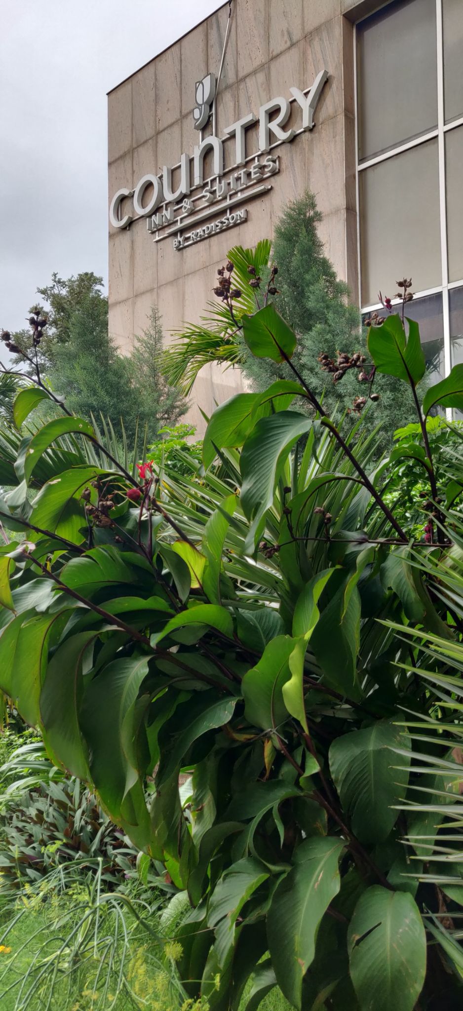 Photo of Country Inn & Suites by Radisson, Mysore, near Infosys Campus, Hebbal Industrial Estate, Hebbal Industrial Area, Mysuru, Karnataka, India by Kritika Tyagi