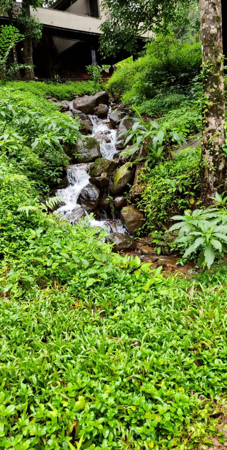 Photo of Coorg : Heaven on Hills , Ayatana Resort by Kritika Tyagi