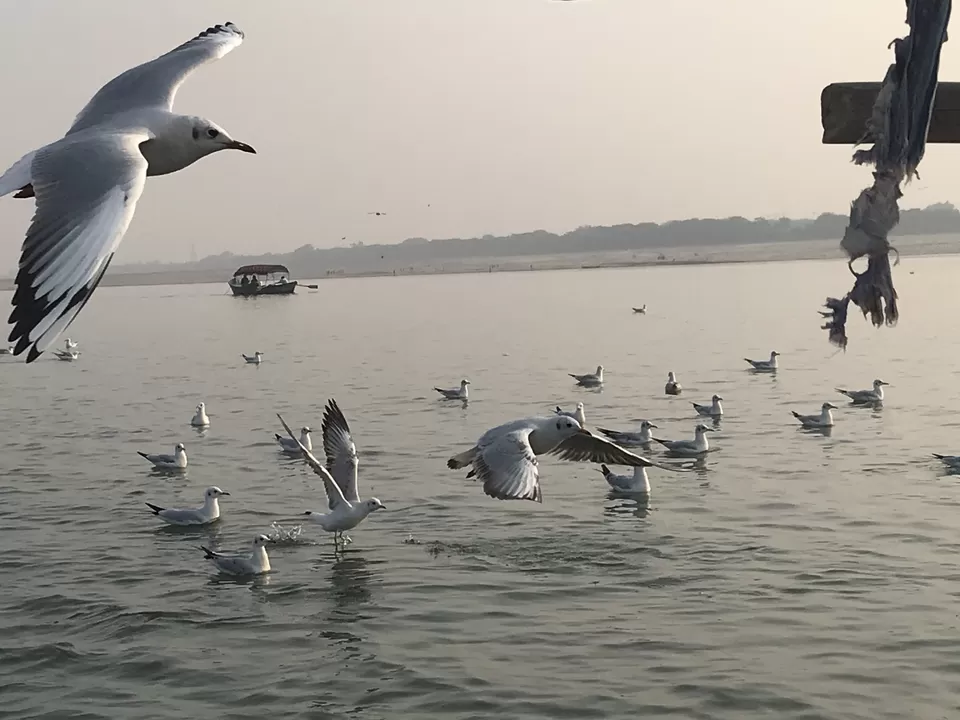 Photo of Triveni Sangam By Preity Yadav