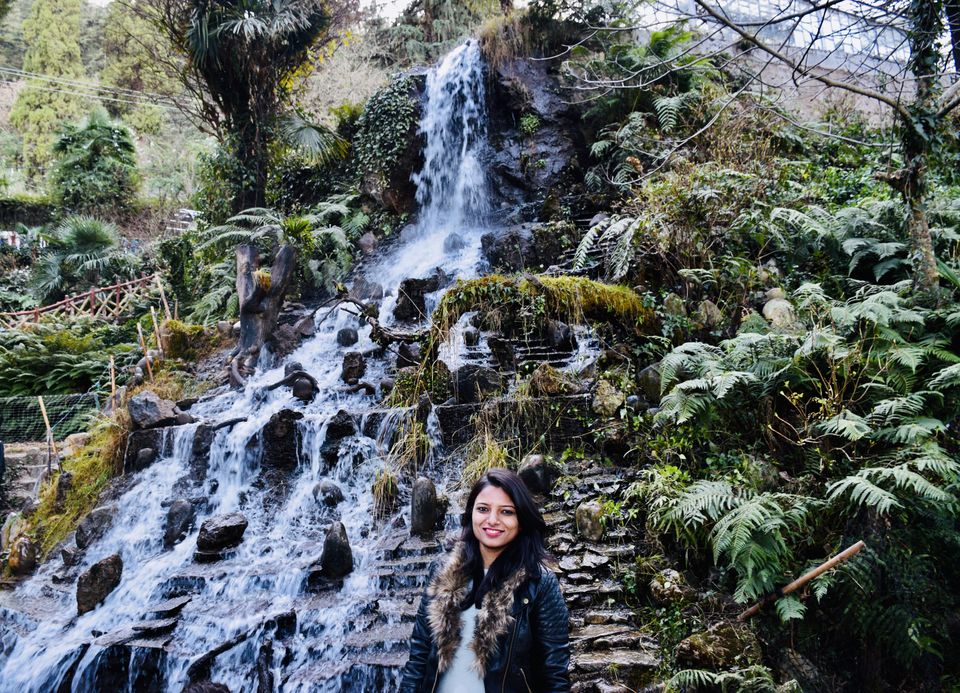 Photo of company Garden, Mussoorie Rd, Malsi, Mussoorie, Uttarakhand, India by Preity Yadav