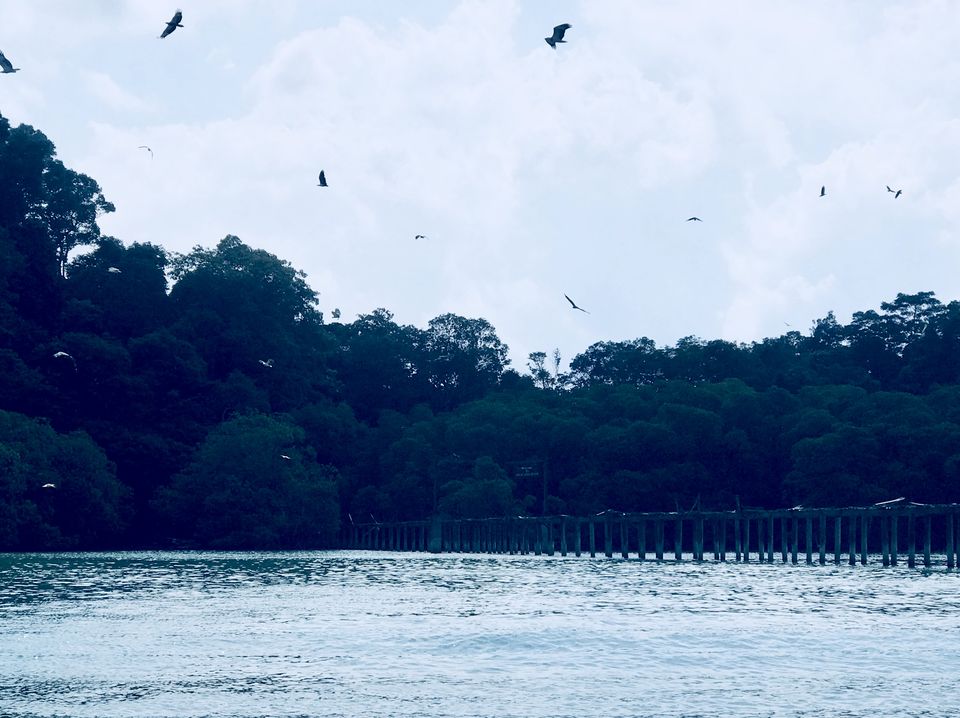 Photo of Beras Basah Island, Bontang Lestari, East Kalimantan, Indonesia by Preity Yadav