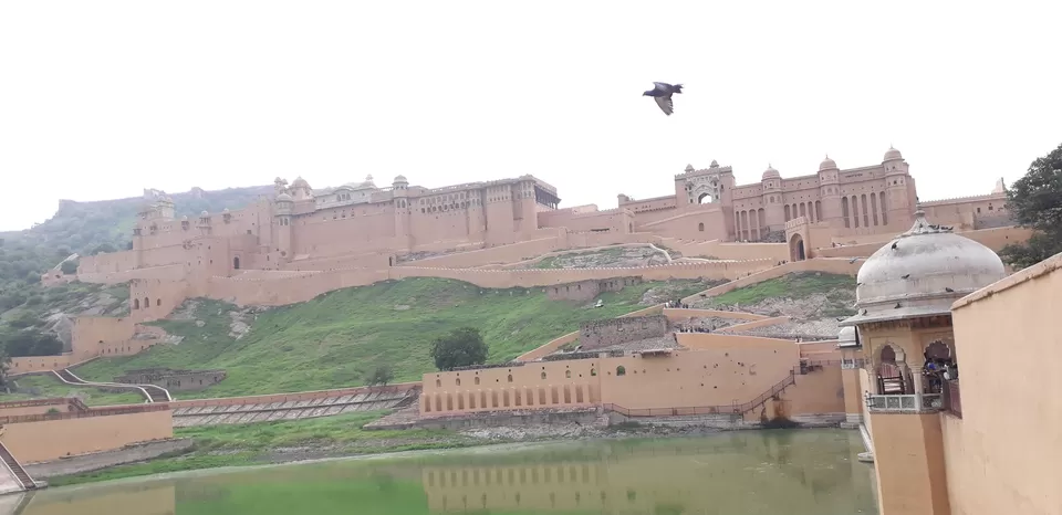 Photo of Amber Fort, Amer Road, Devisinghpura, Amer, Rajasthan, India by Abhishek Rakkesh Sharma