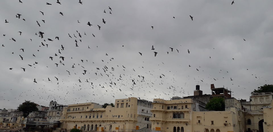 Photo of Explore 'PUSHKAR' like never before, in a one day trip. by Abhishek Rakesh Sharma