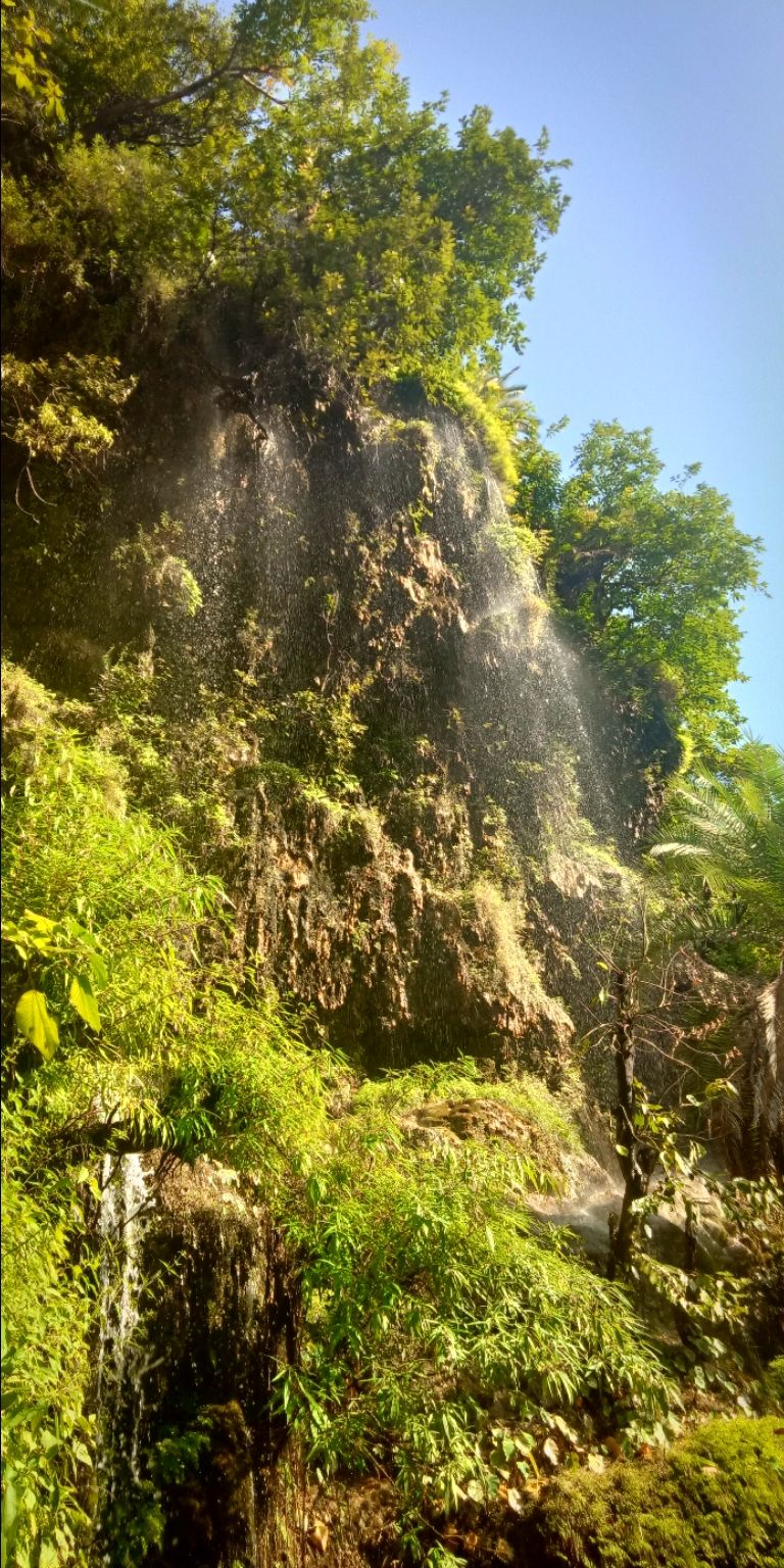 Photo of Trip of Rishikesh,Dehradun,Mussoorie by aashish dubey